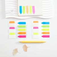 Notes autocollantes colorées notes autocollantes transparentes en forme personnalisée drapeaux de page notes autocollantes pour animaux de compagnie
