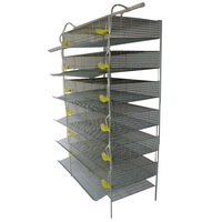 Système d'alimentation automatique à 6 niveaux, cage pour cailles pondeuses de type H pour œufs