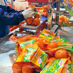 Orange de Valence fraîche saison 2026, qualité Chine 64-72-80-88 unités/boîte, agrumes juteux et sucrés, stockage à froid, meilleur prix, récolte Navel - Product Image 3