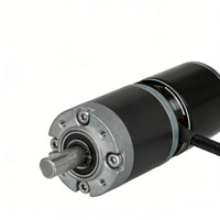 Moteur BLDC Flashhobby PGM3548-139 42kgf à couple élevé avec boîte de vitesses planétaire 134W 24V à régulation de vitesse pour drones, voitures RC et applications industrielles