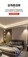 Bande LED COB RVB RVBW RGBCW adressable Dream Color DC5V 12V 24V, éclairage flexible sans soudure pour installation architecturale