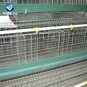 Un type outils et équipement et fonction de ferme de cage de poulet/cage de batterie de couche d'équipements de ferme avicole automatique