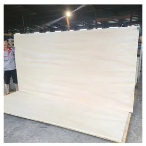 1250*2500mm Qualidade Superior 18Mm 40Mm Waterproof Marine 5X10 Full Birch Contraplacado