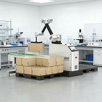 Robot palettiseur cobot 6 axes 30 kg économique avec bras motorisé en acier inoxydable pour l'empilage automatique de cartons
