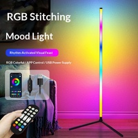 Lampe de table décorative RGB en acrylique de luxe, alimentée par USB, avec télécommande, pour chambre et salon, personnalisable OEM/ODM, directement de l'usine