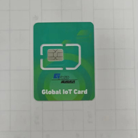 Kustomisasi Grosir Kartu SIM IoT 4G Global untuk Radio POC Jarak Jauh Global 4G LTE Walkie Talkie