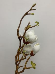 Flores Artificiales de Magnolia de Alta Calidad, Tallos de Magnolia Blancos de <span class=keywords><strong>EVA</strong></span>, Arreglo Floral para Centro de Mesa, Decoración Interior del Hogar - Product Image 4