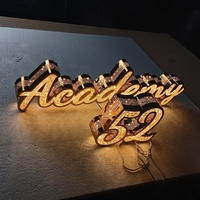 Lettres lumineuses à effet ciel étoilé LED personnalisées pour logo d'entreprise, enseigne pour boutique, magasin, centre commercial, décoration