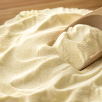 Poudre de Peptide de Pois en Gros, Ingrédient Protéiné Végétal de Haute Pureté pour Aliments, Boissons, Compléments et Aliments Fonctionnels