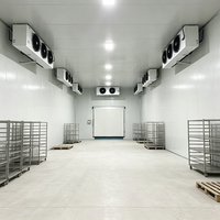 Contenedor Refrigerado Tipo Congelador con Unidad de Condensación de Corriente Continua para Almacenamiento en Cámaras Frigoríficas y Transporte de Alimentos Congelados