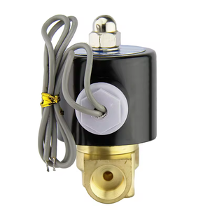 2 Wát loạt thường đóng mở loại 220V 24V 12V 2w025-06 2W025-08, 2W040-10 diễn xuất trực tiếp điện Brass nước solenoid valve - Product Image 5