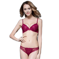 Haute qualité été femmes ensemble de Lingerie Sexy dentelle soutien-gorge brodé slips Bikini culotte en gros adultes Spandex