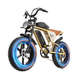จักรยานไฟฟ้าไฮบริดสำหรับผู้ใหญ่ 750 วัตต์ 48 โวลต์ 34 แอมป์ชั่วโมง แบตเตอรี่คู่ ประสิทธิภาพการขับขี่แบบออฟโรด ยางใหญ่ จักรยานไฟฟ้าพลังงานแบตเตอรี่ลิเธียม - Product Image 1