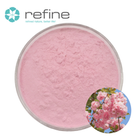 100% puur natuurlijk Sakura poeder voor dranken, thee, bakkerij, wateroplosbaar Kanzan kersenbloesempoeder