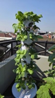 Équipement hydroponique pour légumes avec 36 trous de plantation, pour la culture intérieure à domicile et la culture hors-sol des légumes