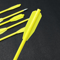 Flèches de style Piaoyu, adaptées à certains lance-flèches, conçues pour les jeux de tir en plein air