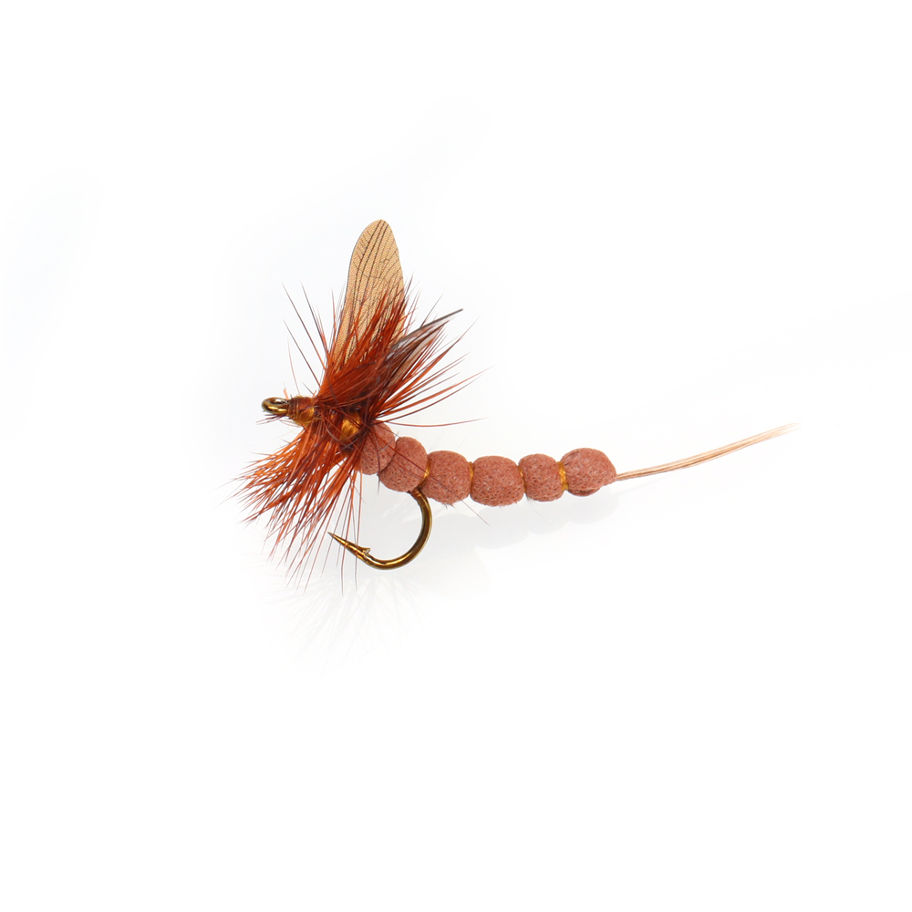 Marron