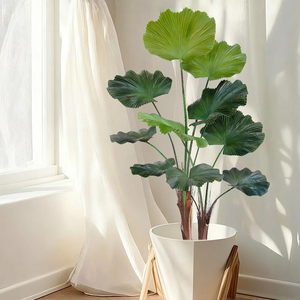 Plante artificielle en plastique, <span class=keywords><strong>palmier</strong></span> à feuilles rondes et à tige épineuse, imitation, utilisation intérieure/extérieure, haute authenticité, résistante à l'eau - Product Image 2