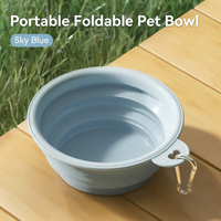 Bol pliable en silicone étanche IPX6 de 350 ml pour chien, qualité alimentaire, pour l'extérieur, les voyages, les fêtes, avec mousqueton