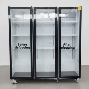 Enfriador de Bebidas <span class=keywords><strong>Coca</strong></span> <span class=keywords><strong>Cola</strong></span> con Puerta de Vidrio, Doble Puerta, Logotipo Personalizado para Distribuidores y Proveedores de Marca - Product Image 5