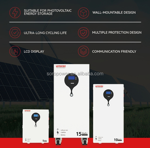 SOROTEC <strong>Lithium</strong> Ion Batteries Pack 12v 48v 24 Volt <strong>Lithium</strong> Battery Batterie Solaire <strong>Lithium</strong> 200ah 100AH 300AH - Product Image 6