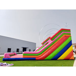 Château gonflable commercial avec toboggan combiné et mur d'escalade, toboggans géants gonflables commerciaux à vendre avec deux échelles - Product Image 4