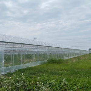 <span class=keywords><strong>Serre</strong></span> à travées multiples Arche <span class=keywords><strong>agricole</strong></span> Toit en dôme <span class=keywords><strong>Serre</strong></span> Équipement commercial d'<span class=keywords><strong>occasion</strong></span> à vendre - Product Image 5