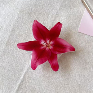 Soportes para Teléfono Móvil de Resina Acrílica, Orquídea Zephyranthes <span class=keywords><strong>Candida</strong></span> Rosa, Phalaenopsis Roja, Phalaenopsis Blanca, Agarres para Teléfono Amarillos - Product Image 5