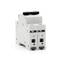 ETM3 Disjoncteur miniature noir 2P 6KA Kema 40 ampères 63a surcharge court courant alternatif sécurité maison haute qualité Din Rail