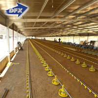 Maison de volaille à structure en acier commerciale à faible coût en Chine nouvel état hangar à œufs de poulet pour couches 5 équipement d'élevage