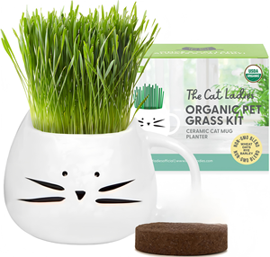Kit de culture d'herbe à chat bio pour chats d'intérieur - Contrôle naturel <span class=keywords><strong>des</strong></span> boules de poils et remède digestif - Cadeaux pour chats pour le jardinage et la plantation - Product Image 1