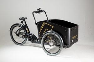 Vélo cargo électrique, entrepôt européen, tricycle familial néerlandais à 3 roues, 250W, moteur sans balais, cadre en acier, frein à disque, Lastenrad - Product Image 4