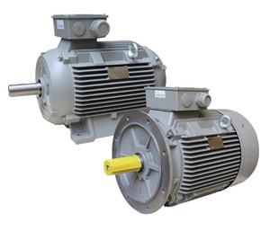 Venta AB Siemens WEG 1hp 2hp 3Hp 15HP 25hp 30hp 40hp 75hp 100hp <span class=keywords><strong>200hp</strong></span> 3 Motores de CA eléctricos asíncronos de inducción trifásicos - Product Image 6