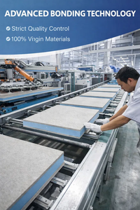 Panel Sándwich <span class=keywords><strong>de</strong></span> Cemento XPS EPS <span class=keywords><strong>de</strong></span> Diseño Moderno para Divisiones <span class=keywords><strong>de</strong></span> Apartamentos Residenciales con Tecnología Anti-Grietas y Bajo Costo <span class=keywords><strong>de</strong></span> Mantenimiento - Product Image 5