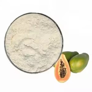 Enzima de Papaya en Polvo Natural para Ablandar Carne, Extracto de Papaya para Alimentos, Disponible para la Venta - Product Image 5