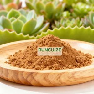 ผงสกัด <span class=keywords><strong>Kalanchoe</strong></span> pinnata จากธรรมชาติสำหรับใช้ในอาหารเครื่องสำอางและอาหารเสริม - Product Image 2