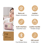 Speaker Mini Retro Fashion P19, Kartu TF, Radio FM, Portabel, Dapat Diisi Ulang, Audio Portabel untuk Rumah dan Luar Ruangan, Speaker Nirkabel BT