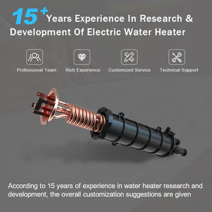 Leakage Protection Alloy Red Copper Heating <b>Wire</b> <b>Electric</b> Water Heater Heating Element High Power 220-240V Long Lifespan - Product Image 6