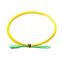 Cordon de raccordement à Fiber optique Simplex de haute qualité SC/APC à SC/APC 9/125 SM 3m