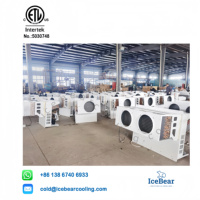 Evaporateur monobloc 1HP/2HP/3HP à économie d'énergie pour unité de réfrigération de stockage à froid marchant dans un équipement de congélation pour chambre froide