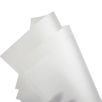 Diffuseur Optique Micro Prisme Personnalisable en Gros Film Feuille Acrylique Prismatique Diffuseur Plaque LED Éclairage Rouleau Rétro-Éclairage Rina