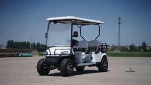 Productos Más Vendidos, Carritos de Golf Eléctricos Ajustables de Alta Velocidad con Batería de Litio de 48/60/72v, Mini Buggies de 2/4/6 Plazas, Precio - Product Image 3