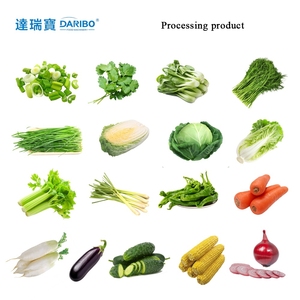 Machines de tranchage de tranches de légumes de cornichon de coupeur de pomme de terre de <span class=keywords><strong>concombre</strong></span> de carotte - Product Image 4