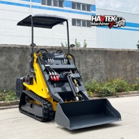 Gratis pengiriman Mini Skid Steer HAVTEK 390 Skid Steer Loader Ce/epa Cina grosir Skid Steer Mini Loader dengan Bucket lampiran