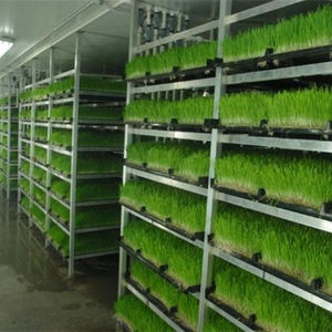 علف هوائي ، صينية قناة NFT ، مزراب مائي ، أنظمة زراعة عمودية - Product Image 3