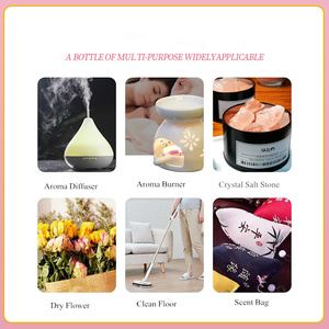 Top 6 Water Soluble Cherry Pineapple Apple Grape Strawberry Pomegranate Fruit Aroma <strong>Diffuser</strong> <strong>Refill</strong> <strong>Car</strong> Fragrance Oil Set - Product Image 4