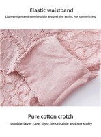Lencería Sexy de Encaje para Mujer, con Entrepierna de Algodón, Cintura Baja, Transpirable, Bordada, Hueca, Transparente, Tallas Grandes M-XXL, Bikini