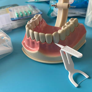 Biyobozunur malzemeler çevre dostu diş derin temizlik araçları taşınabilir ağız bakımı ipi kürdan Sticks - Product Image 4