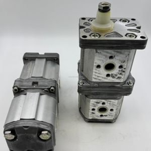 Nouvelle pompe à engrenages CIFA K1019056 pour pompe à béton avec garantie de 6 mois - Product Image 2