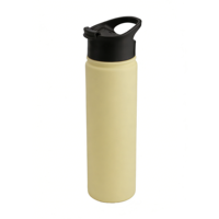 Bouteille d'eau sportive isolée sous vide en acier inoxydable de 22 oz (680 ml) avec couvercle à rabat et poignée de transport